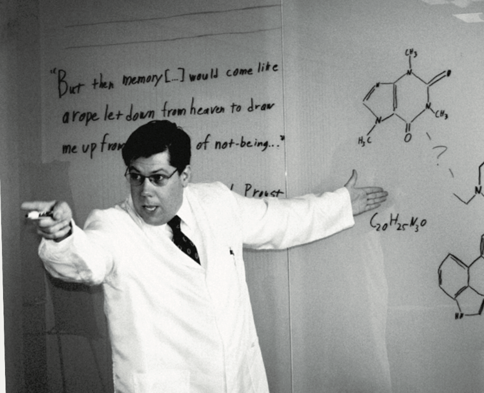Imagem interna do livro: um cientista diante de um quadro