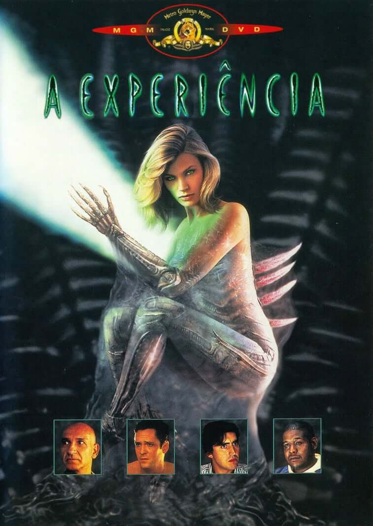 A Experiência