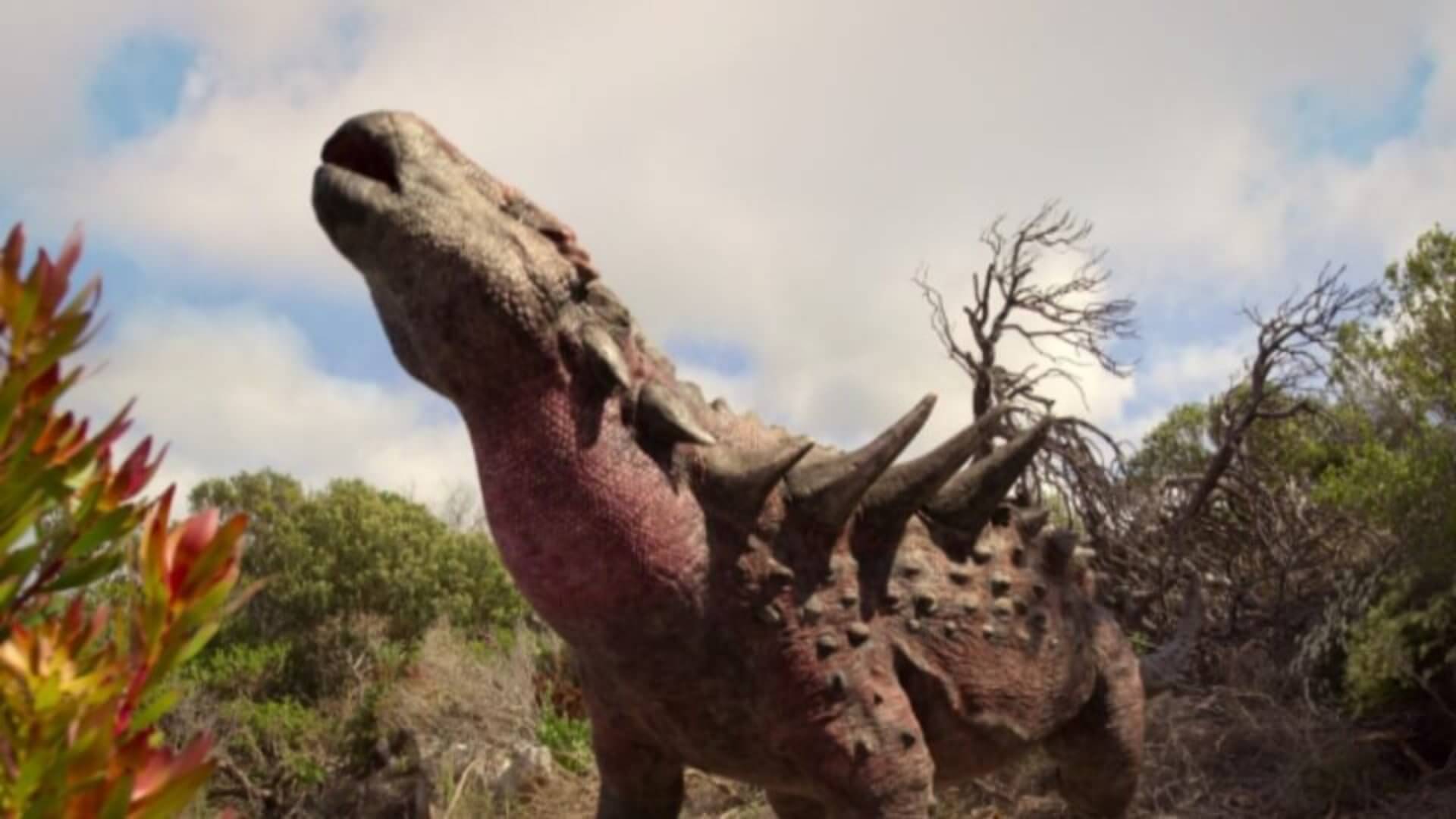 Dinossauros – Quimera de Aventuras