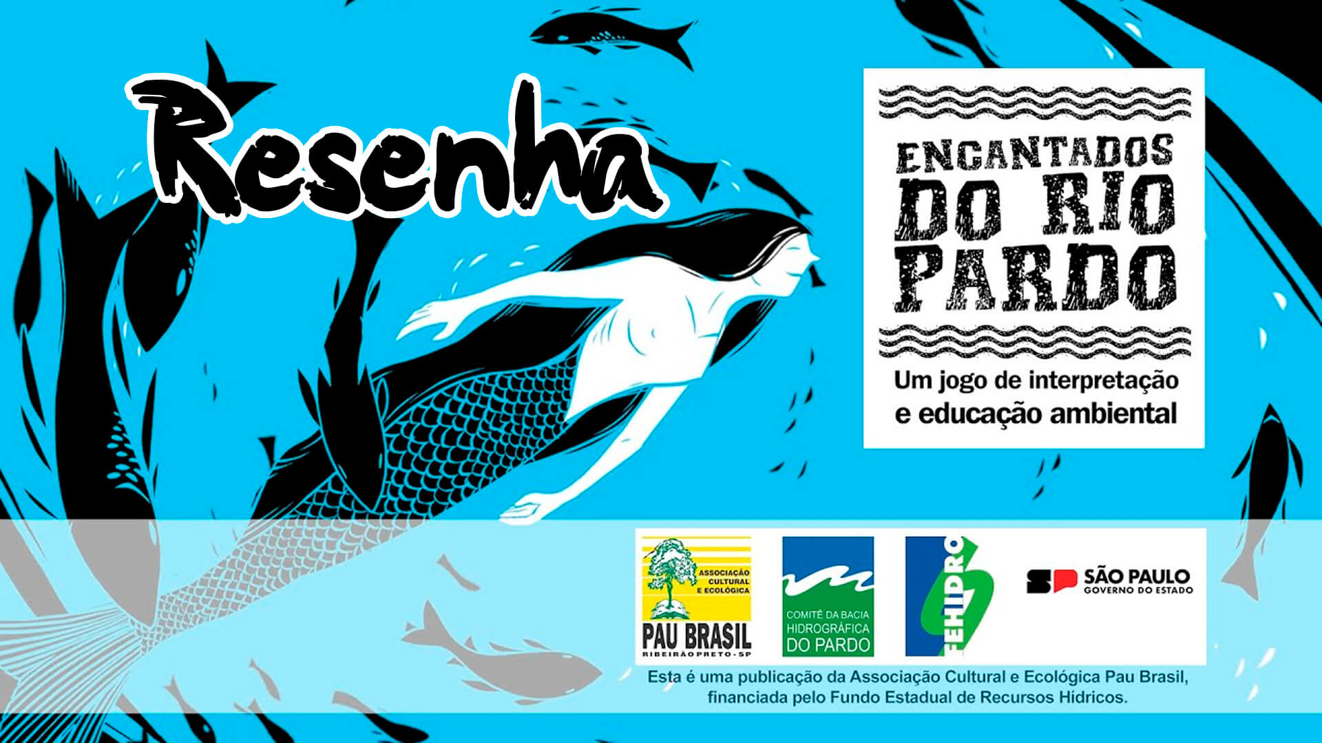 Imagem retangular que retrata um rio, com peixes nadando envolta e no centro uma sereia de pele alva e grandes cabelos longos. A pele é menos para indicar uma etnia (não identificada) e sim pela simplicidade da paleta, possui apenas preto, branco e azul. Na direita da imagem está o título do jogo "Encantados do Rio Pardo" e na direita escrito resenha na parte superior da imagem. Na parte debaixo tem uma faixa opaca branca com empresas, grupos e órgãos envolvidos: a Associação Cultural e Ecológica Pau Brasil; Comitê da Bacia Hidrográfica do Rio Pardo; FEHIDRO e Governo do Estado de São Paulo.